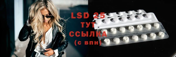ГАЛЛЮЦИНОГЕННЫЕ ГРИБЫ Белоозёрский