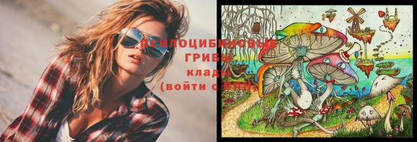ГАЛЛЮЦИНОГЕННЫЕ ГРИБЫ Белоозёрский