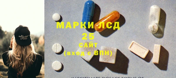 ГАЛЛЮЦИНОГЕННЫЕ ГРИБЫ Белоозёрский