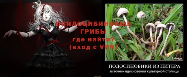 дживик Ханты-Мансийск